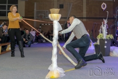 pozdrav sosedu 2018 (73)